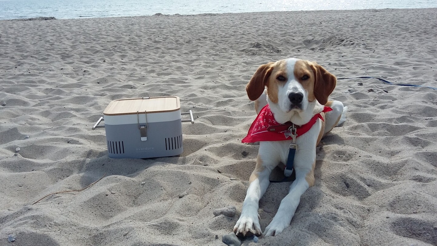 Alles dabei: Grill, Hund, Sonne, Strand und Meer. Der Everdure Cube Grill steht im Sand am Strand neben einem Hund mit rotem Halstuch