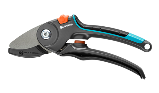 Gehört ebenfalls zur Grundausstattung: eine einfache Gartenschere