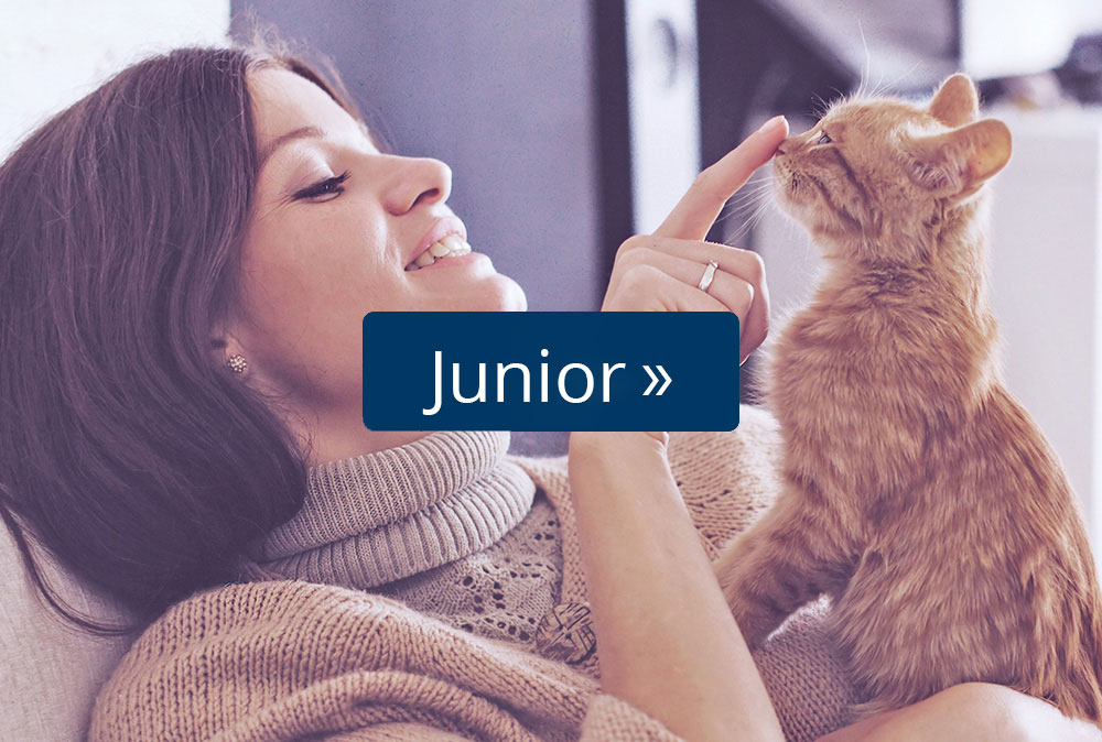 Junior Katzenfutter