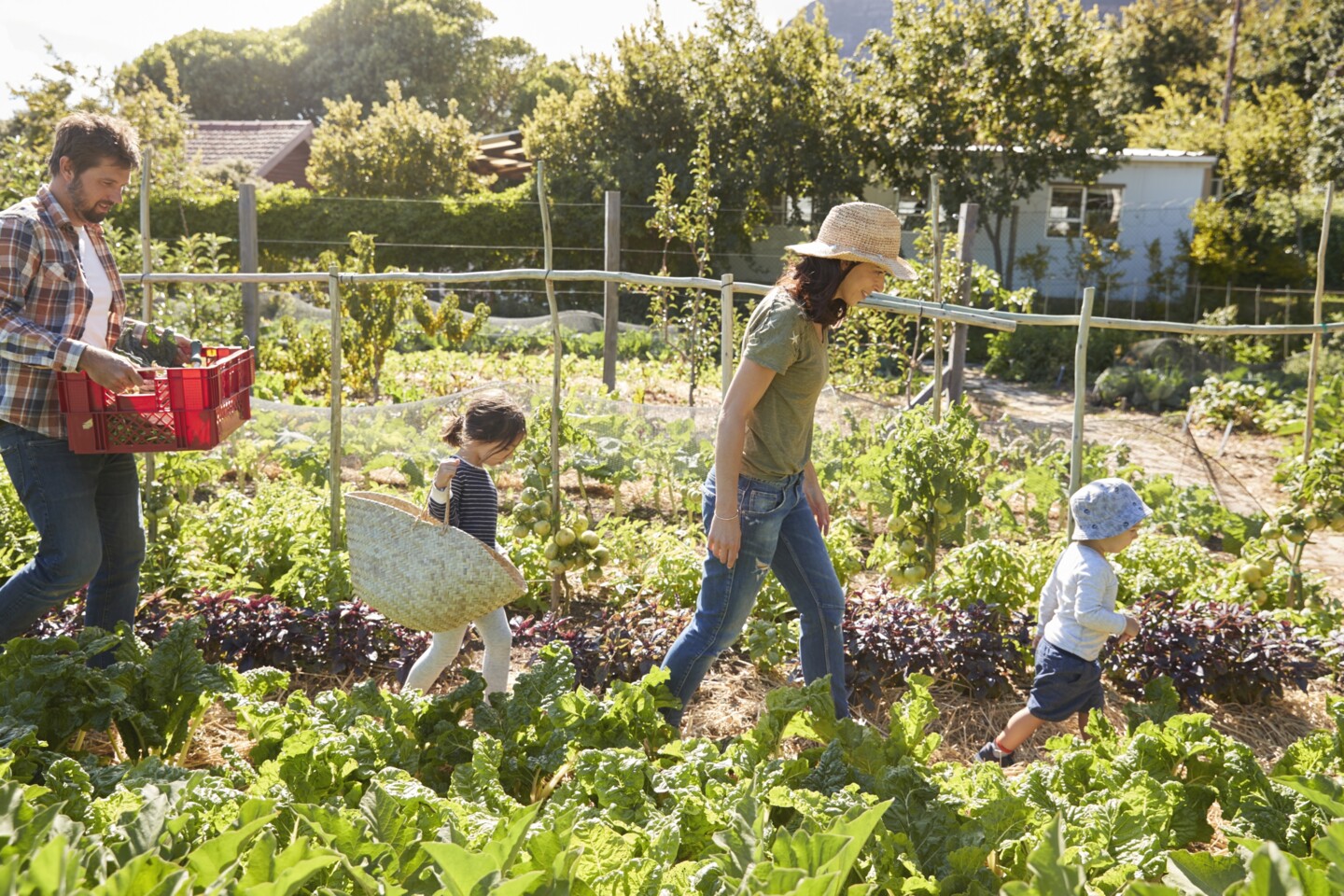 Familie mit Kindern im Schrebergarten