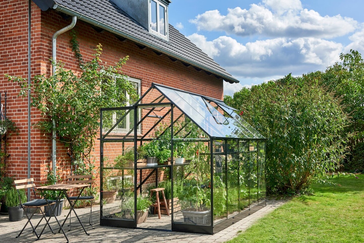 Halls Gewächshaus Qube Halls Gewächshaus Qube