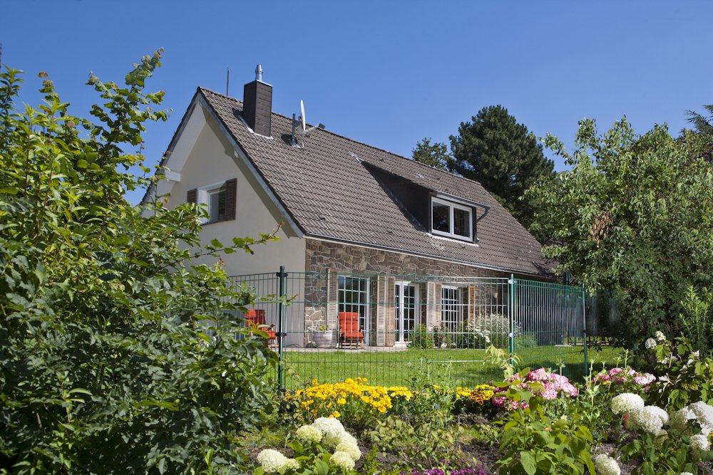 Kraus Dino Komplettset