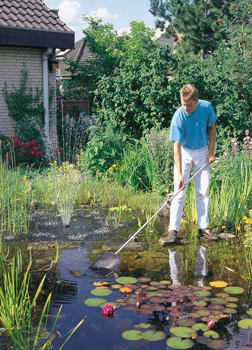 Worauf Sie bei der Teichpflege achten sollten