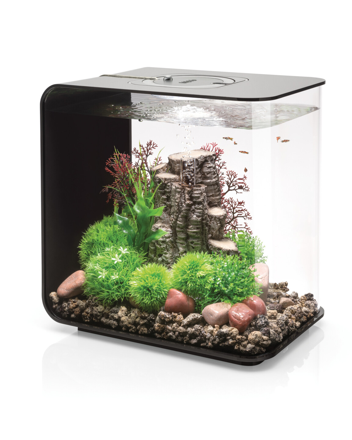 biOrb FLOW Aquarium