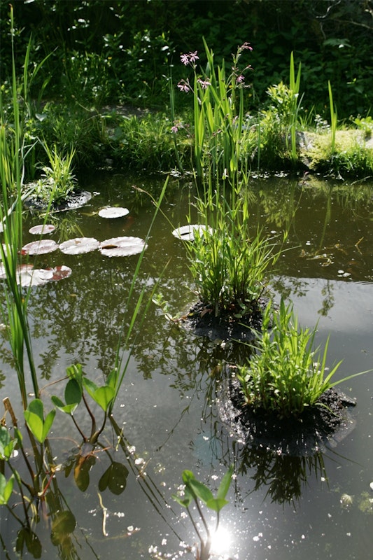 Der Teich könnte auch ein natürlicher See sein. Der Gartenteich mit seinen zwei bewachsenen Inseln gleich einem natürlichen See.