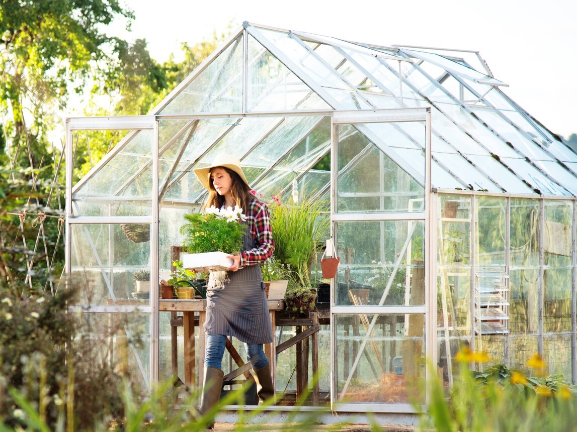 5 Tipps für das Gewächshaus im Frühling