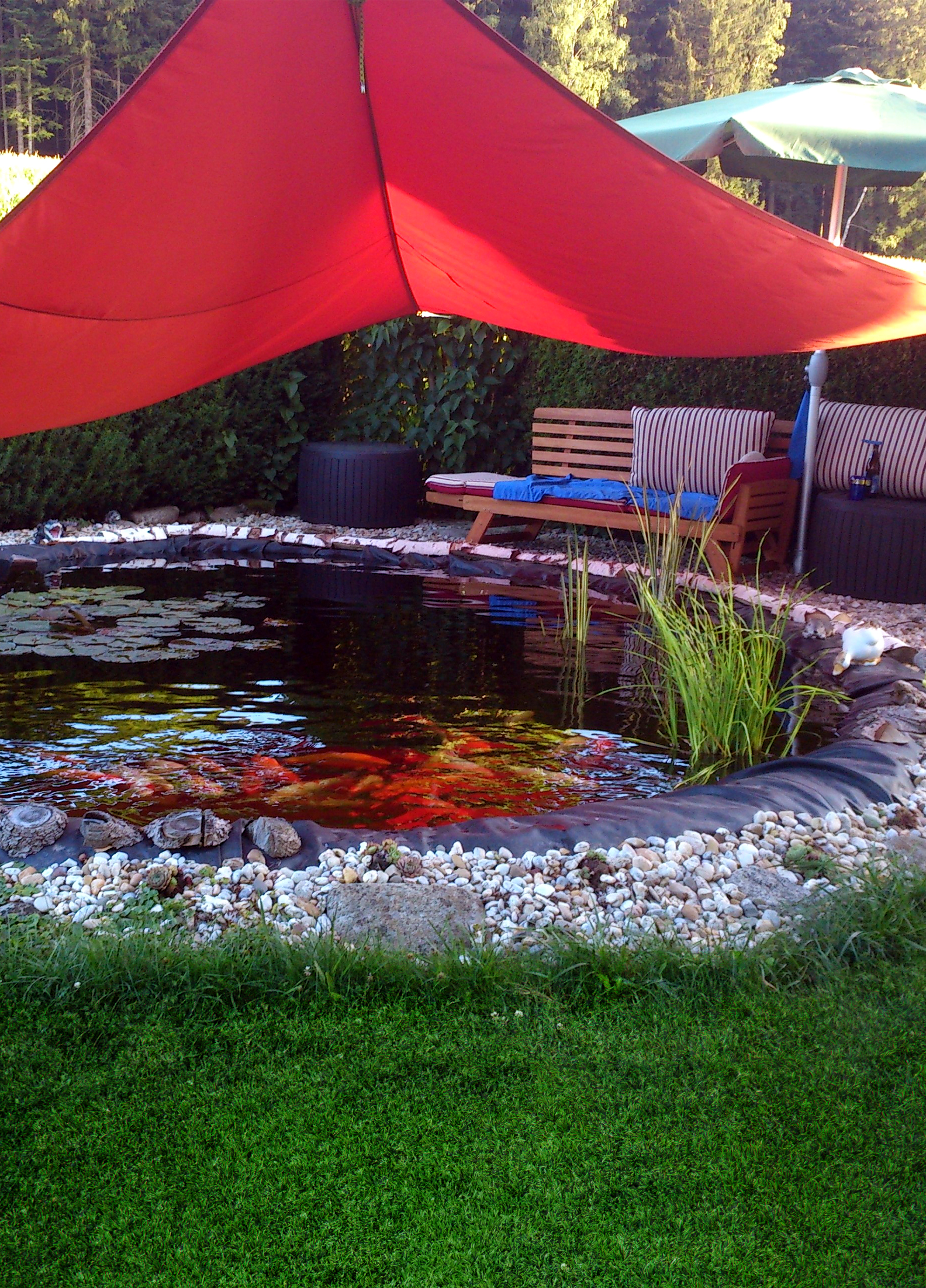 Teichumbau: Vom Tümpel zur Oase im Garten