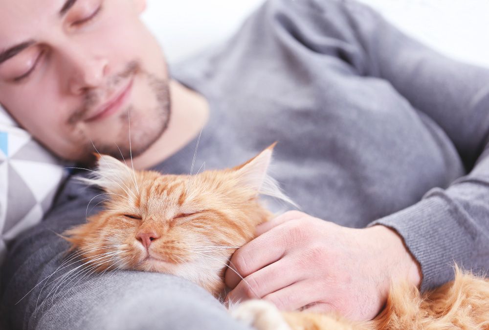 Sensitives Katzenfutter von Happy Cat