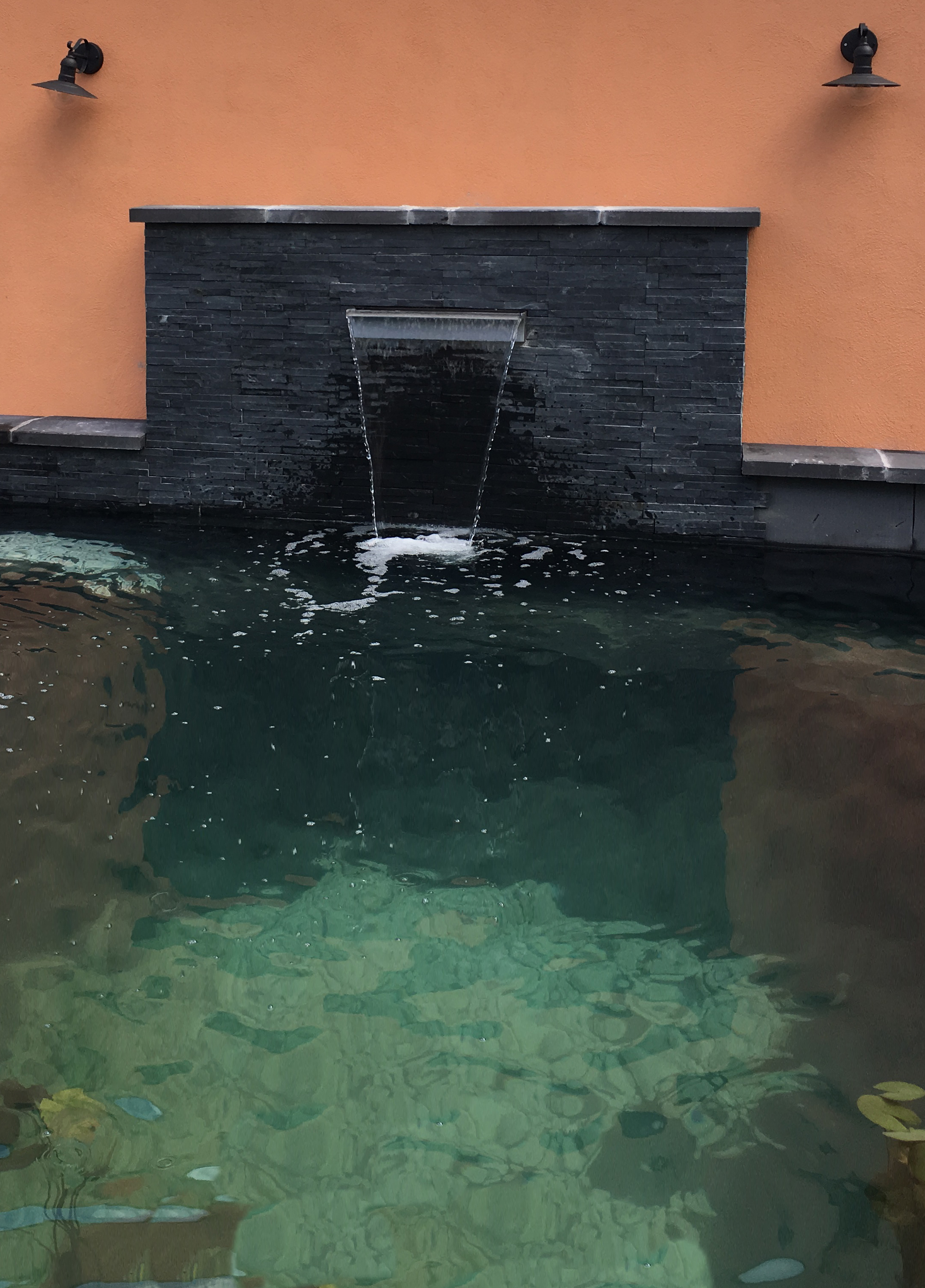 Kreative Teichumgestaltung nach 18 Jahren