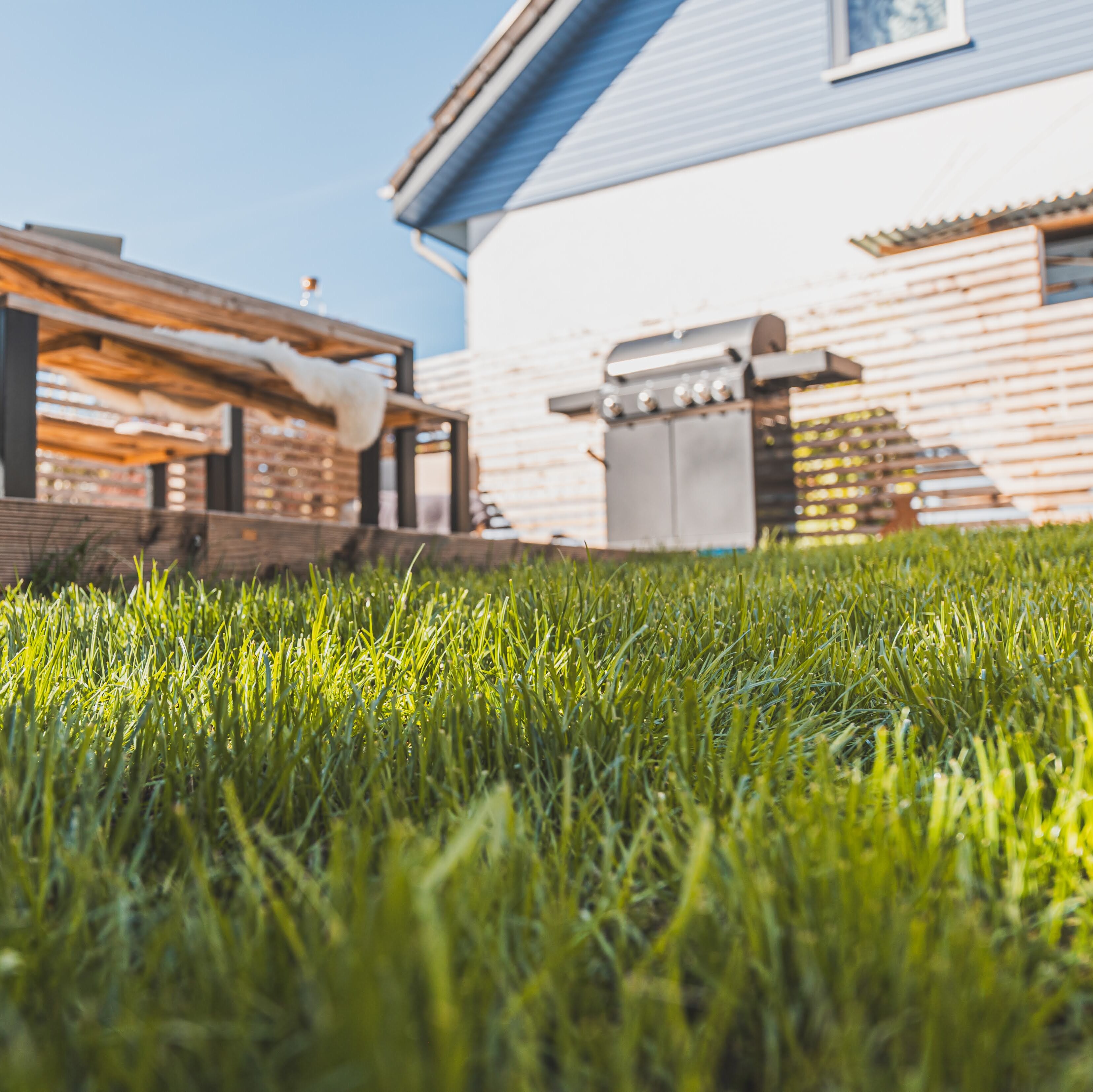 Ab ins Grüne - Tipps für einen schönen Rasen