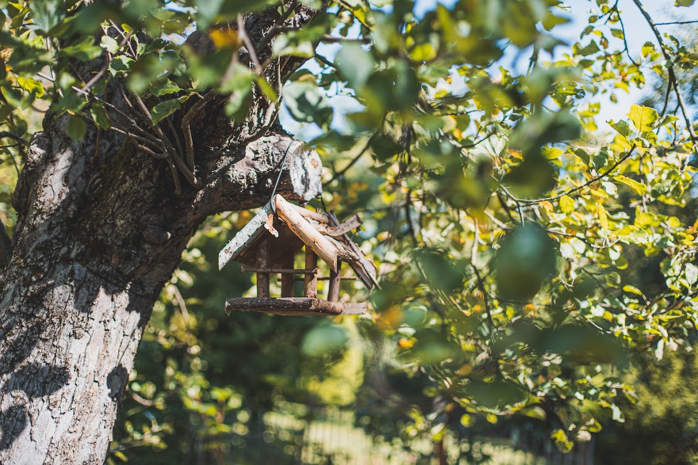 Natürliche Kreisläufe