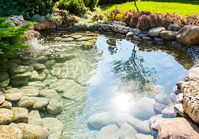 Perfekt sauberes Teichwasser Perfekt sauberes Teichwasser