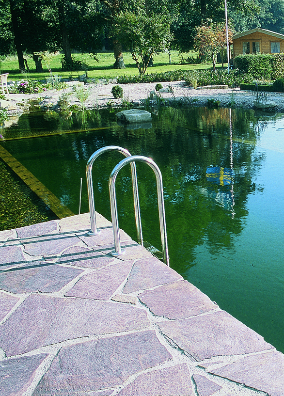 Schwimmteich anlegen: Worauf achten?