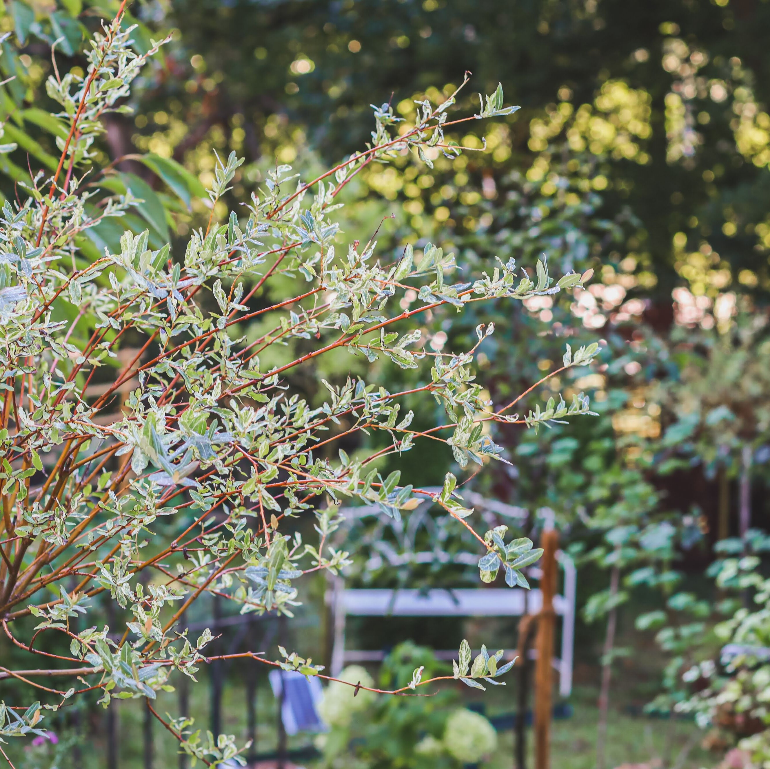 Romantische Gartengestaltung