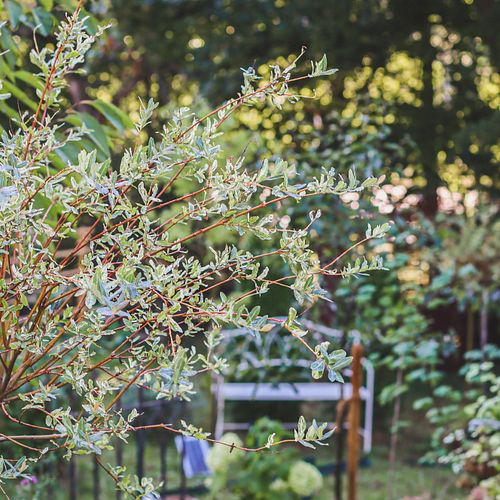 Romantische Gartengestaltung