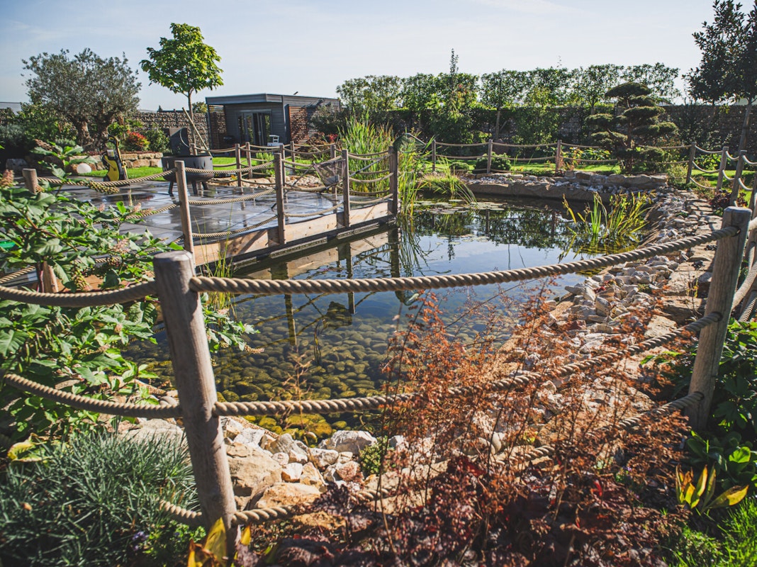 Garten mit Teich Ein schöner großer Garten mit einem Teich
