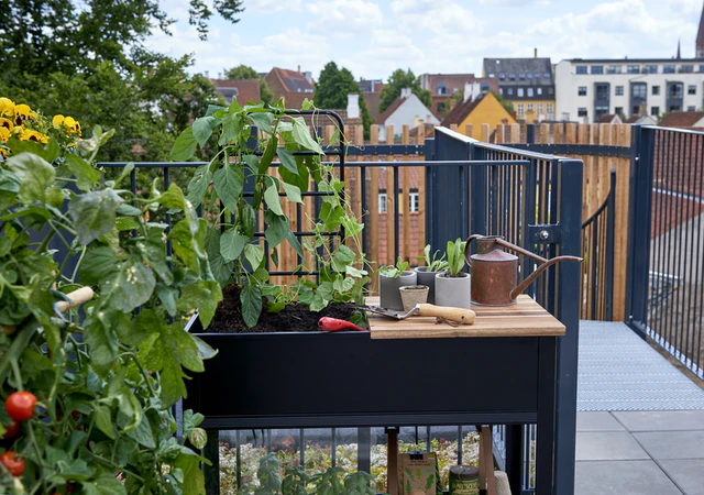 Juliana Gewächshaus Urban Vertical 