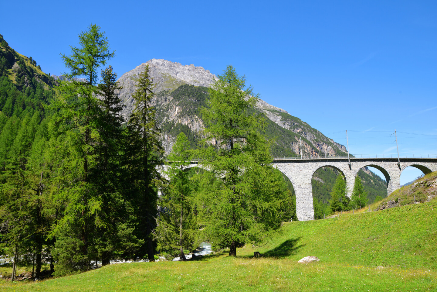 Hohe Nadelbäume auf einer grünen Wiese, im Hintergrund ein Bergpanorama und eine Steinbogenbrücke