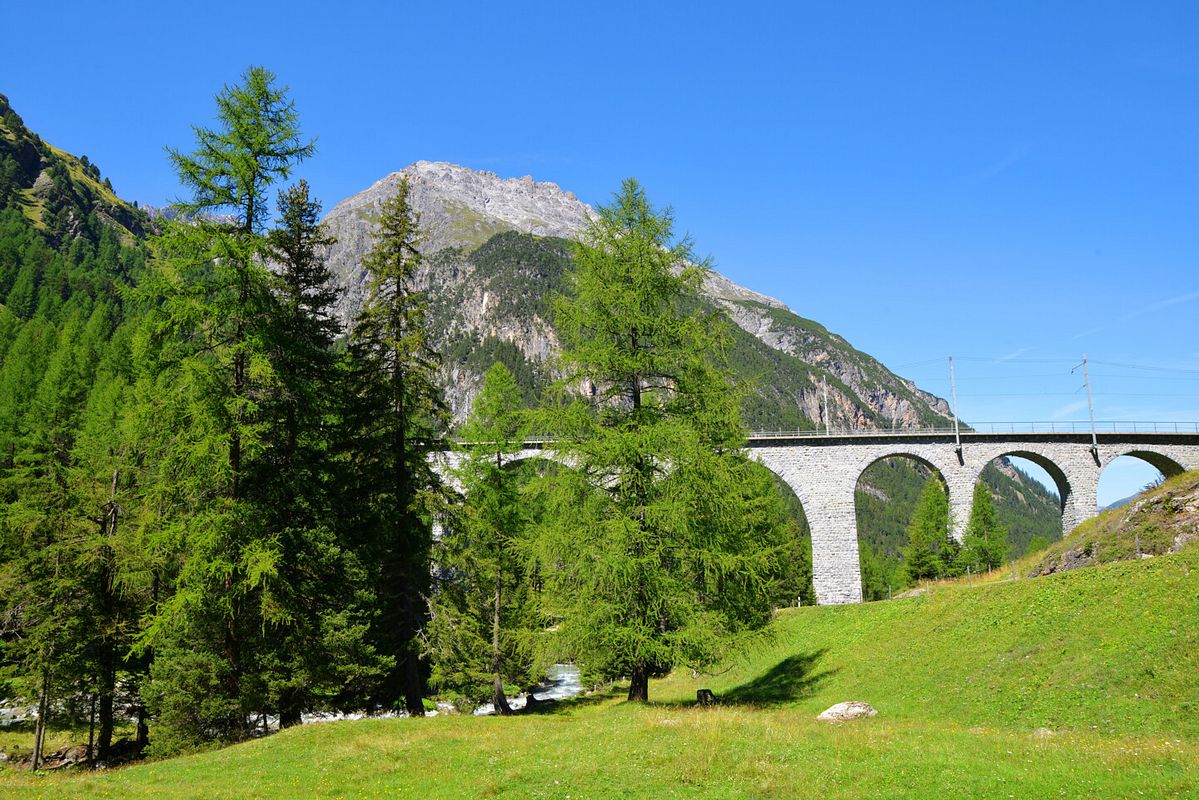 Freistehende, hohe Lärchen in bergiger Landschaft mit einem steinernen Viadukt im Hintergrund