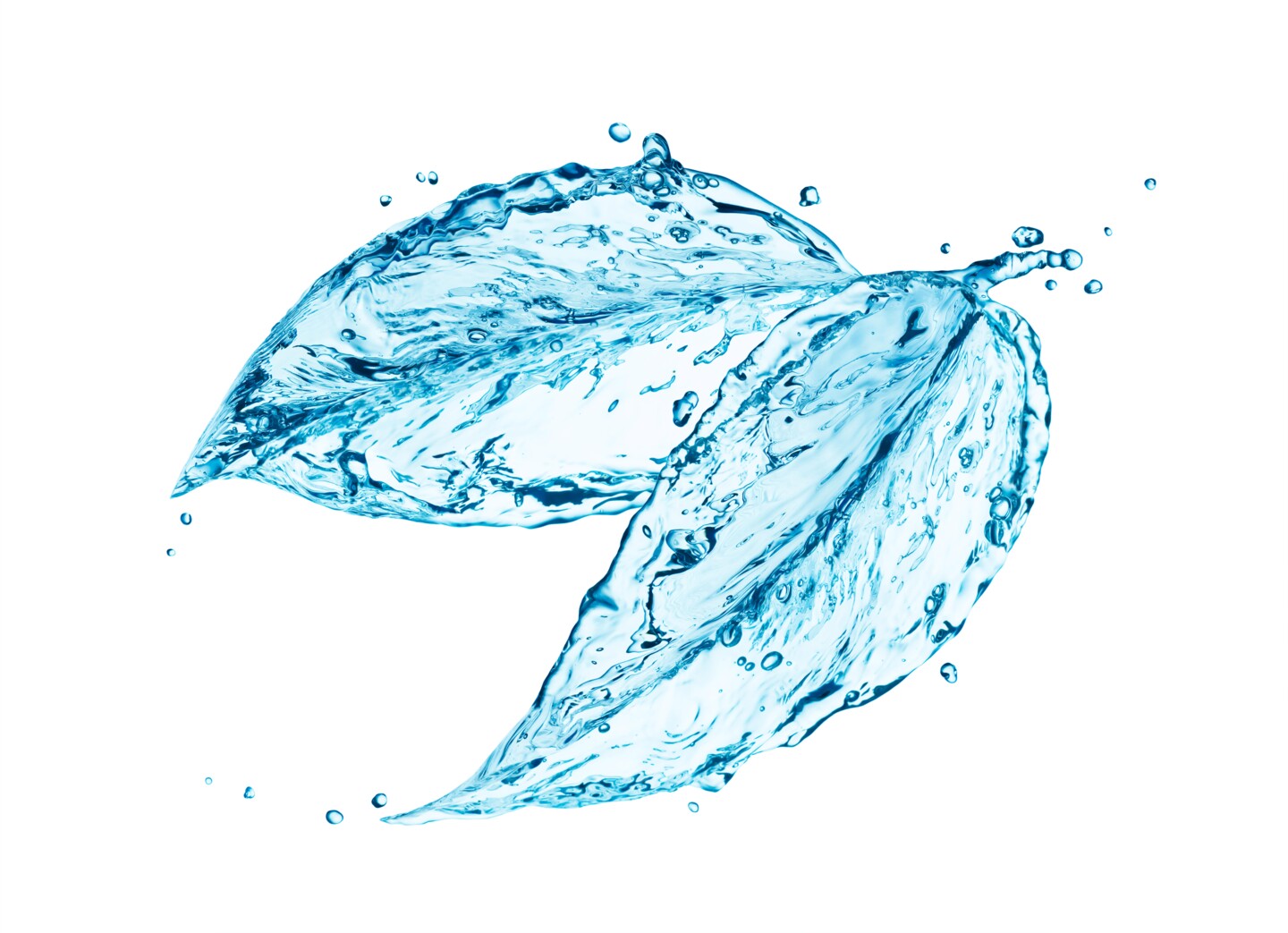 Bewässerungsmöglichkeiten während der Urlaubszeit entdecken