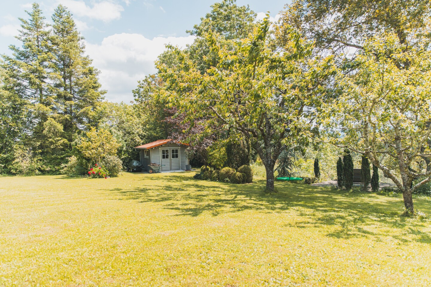 Gartengrundstück mit großer Wiese und Obstbäumen