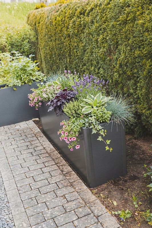 Modernes Anthrazitfarbenes Hochbeet mit Blumen und Zierpflanzen an Hecke