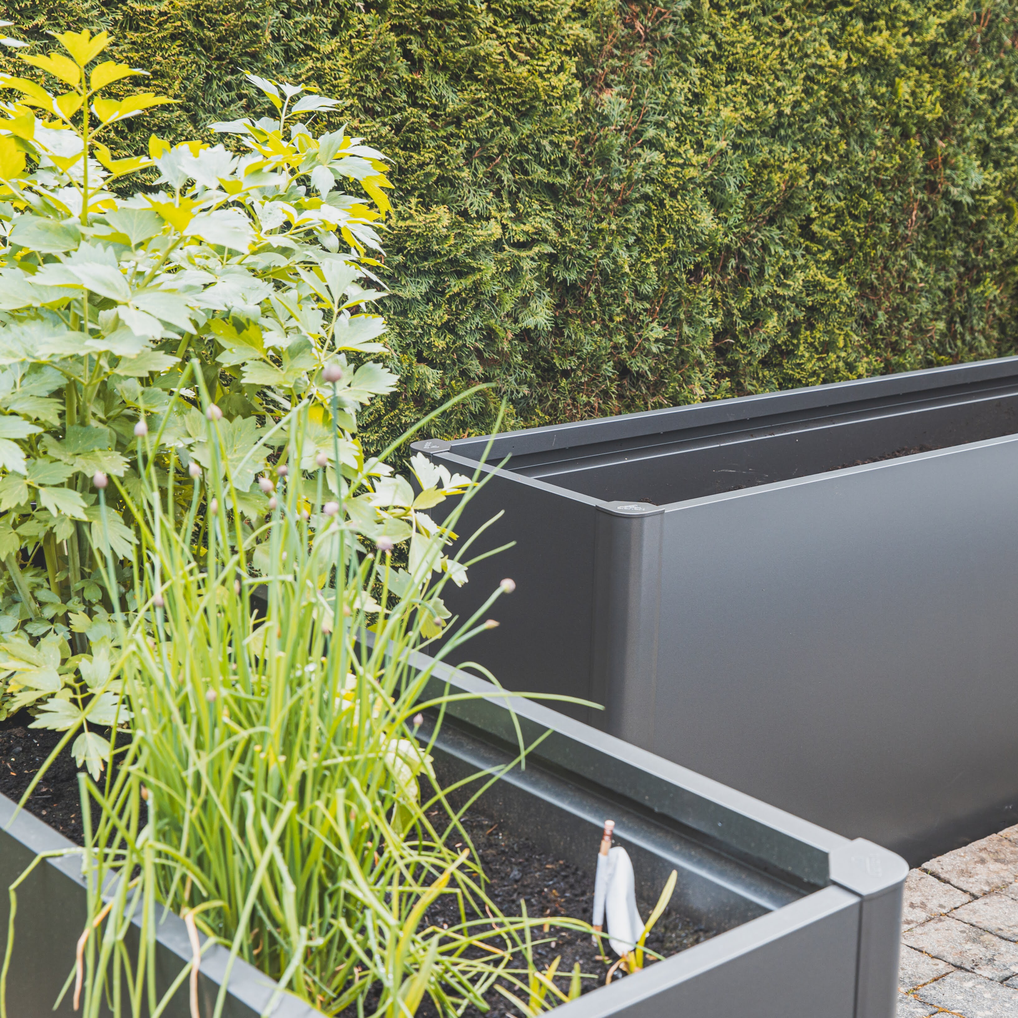 Produktneuheiten 2025 von Biohort