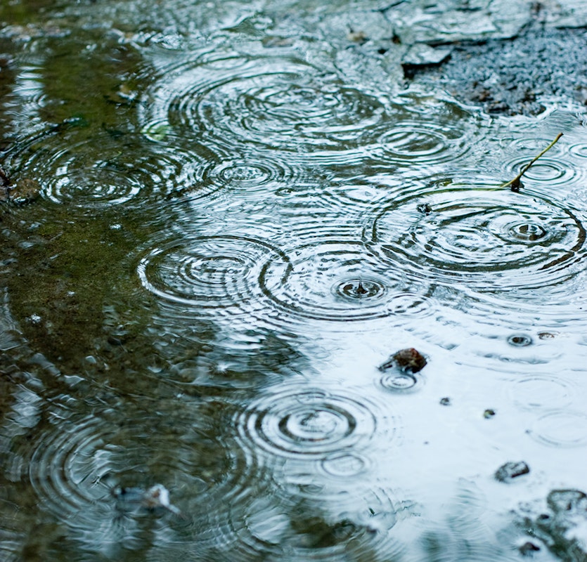 Regenwasser ist schlecht für den Gartenteich Ins Wasser tropfende Regentropfen bilden Kreise auf der Teichoberfläche