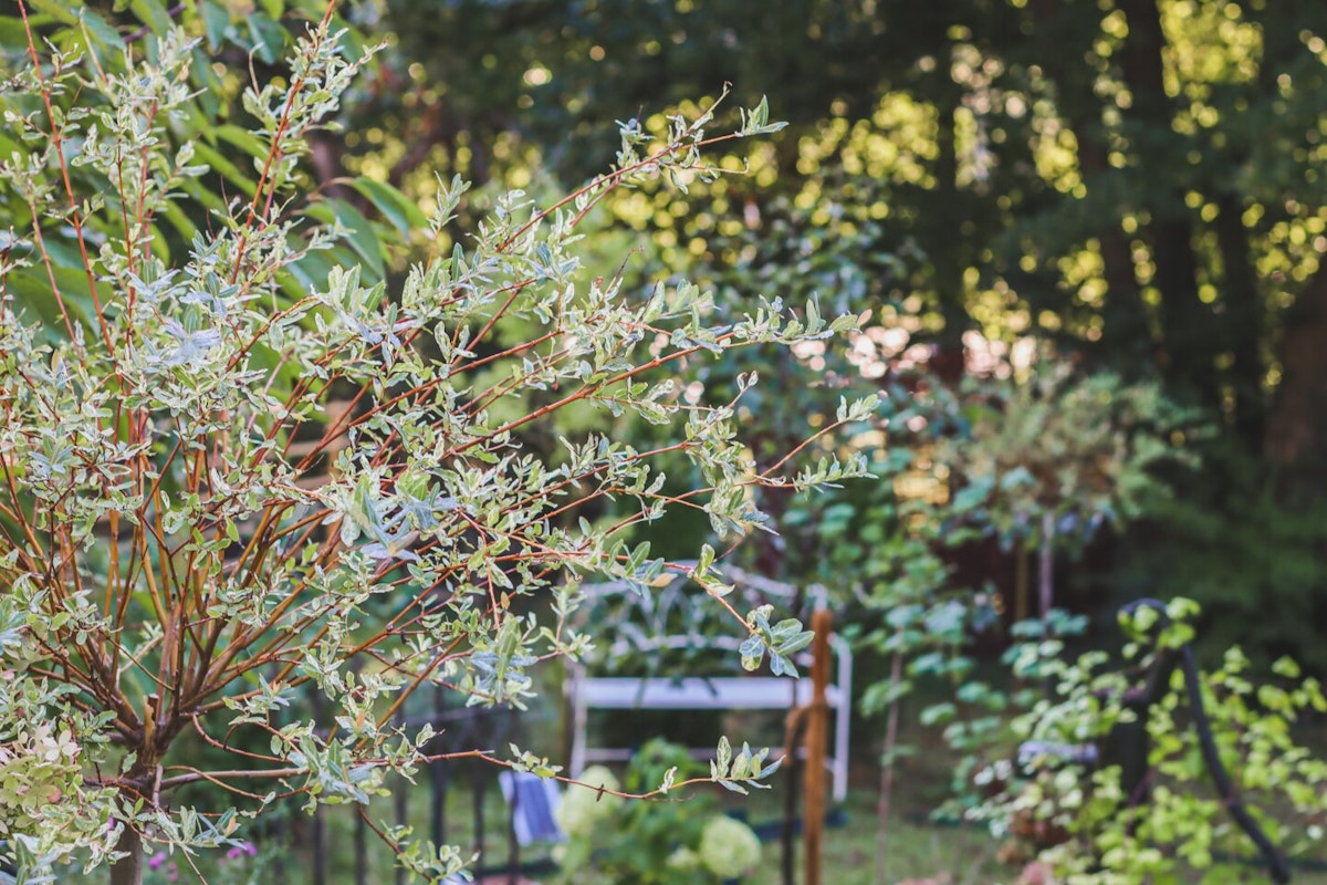 Eine Bank mitten im Grünen Gartenbank im Grünen