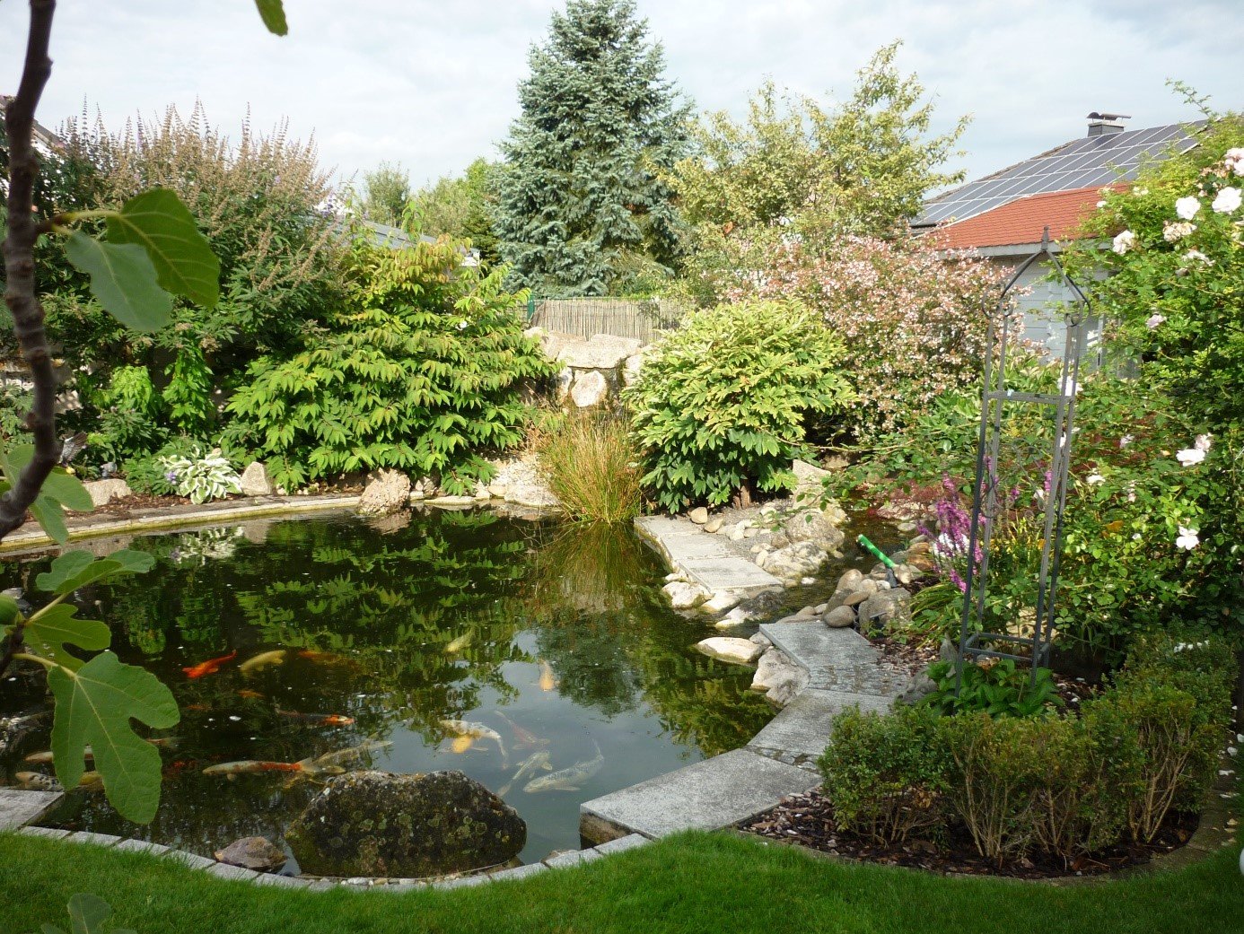 Teichbauanleitung für Jedermann - so gehts