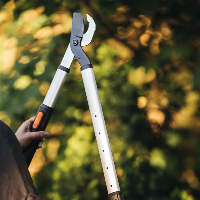 Herbstschnitt - Mehr Ertrag für Ihre Obstbäume