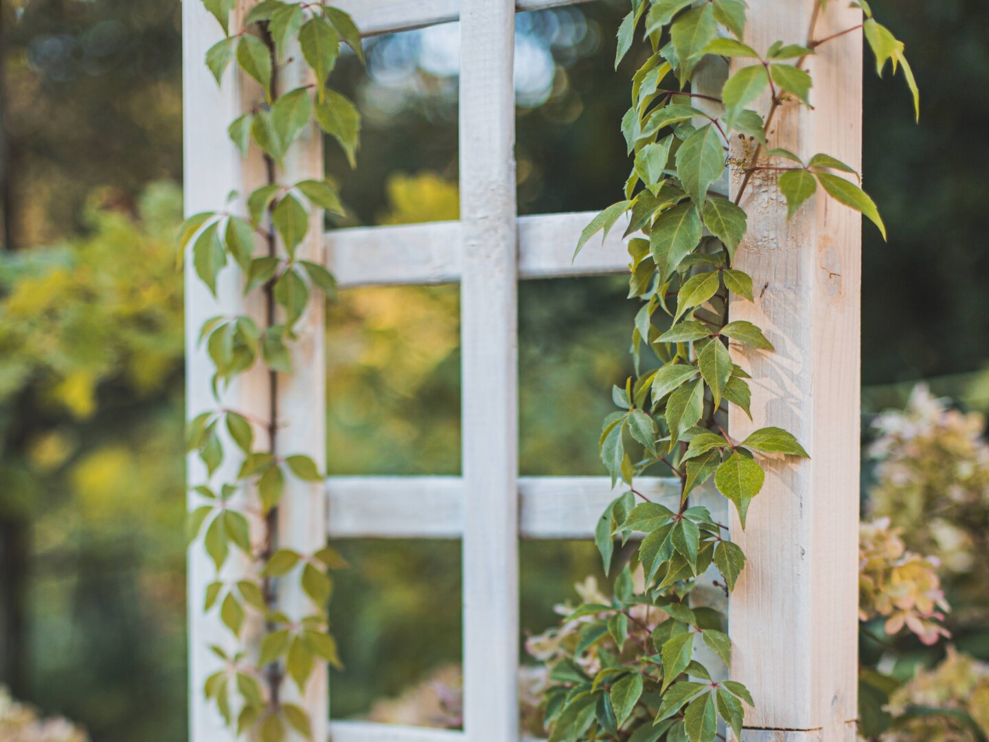 Rankhilfen und Rosenbögen verleihen Ihren Blumen den richtigen Rahmen