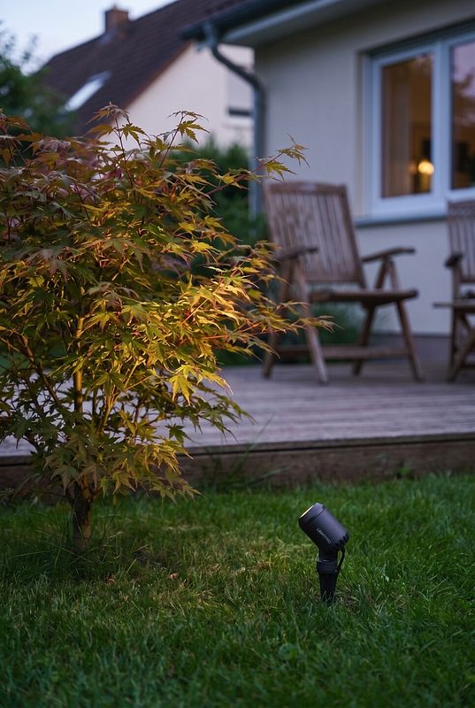 Ein LED Gartenstrahler leuchte neben der Terrasse ein Ahornbäumchen an