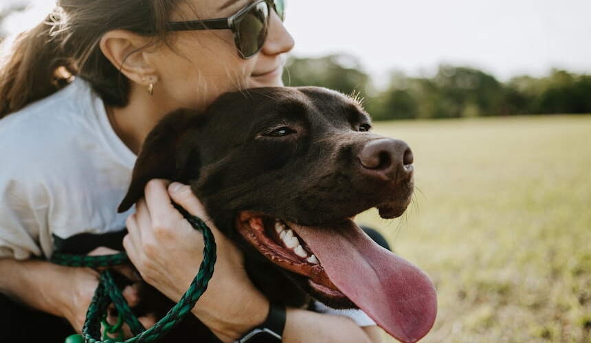 Frau mit Labrador Eine Frau umarmt ihren dunkelbraunen Labrador von hinten