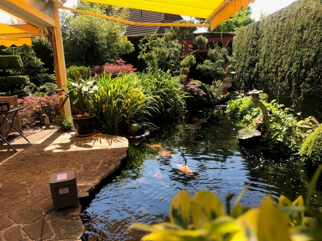 Soforthilfe bei großer Hitze: den Teich beschatten! Soforthilfe bei großer Hitze: den Teich beschatten!