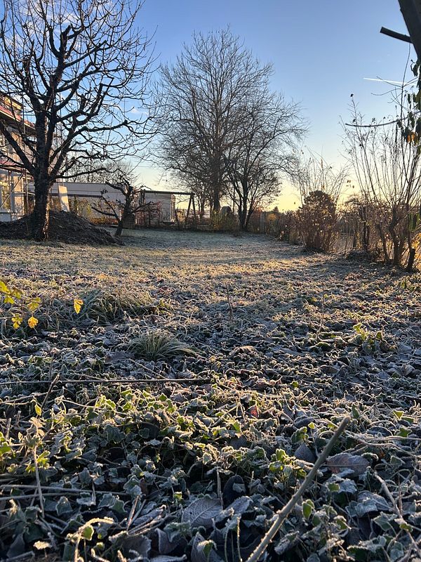 Winterlicher Garten in der Morgensonne