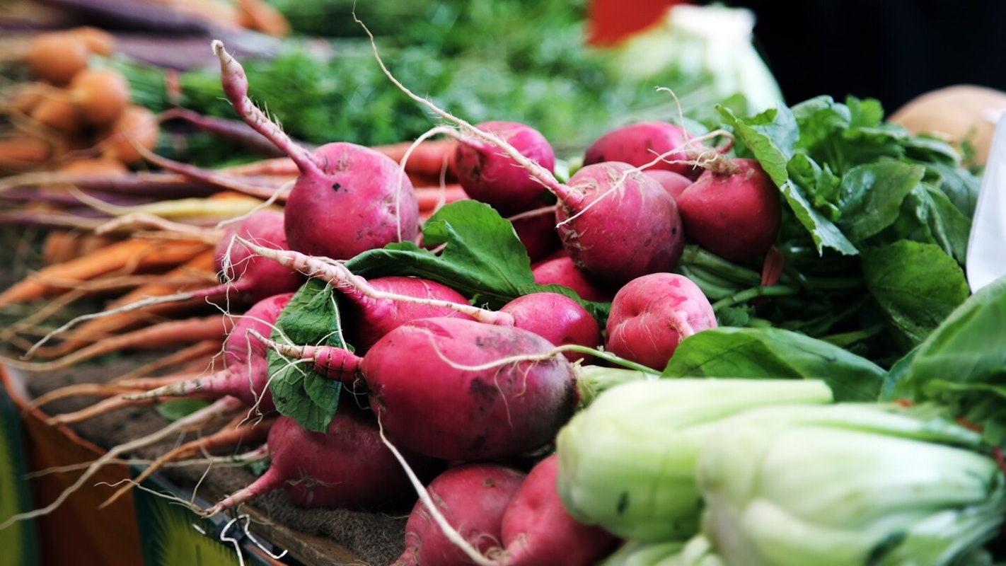 Ertragreiche Ernte aus dem Hochbeet Ertragreiche Ernte aus dem Hochbeet
