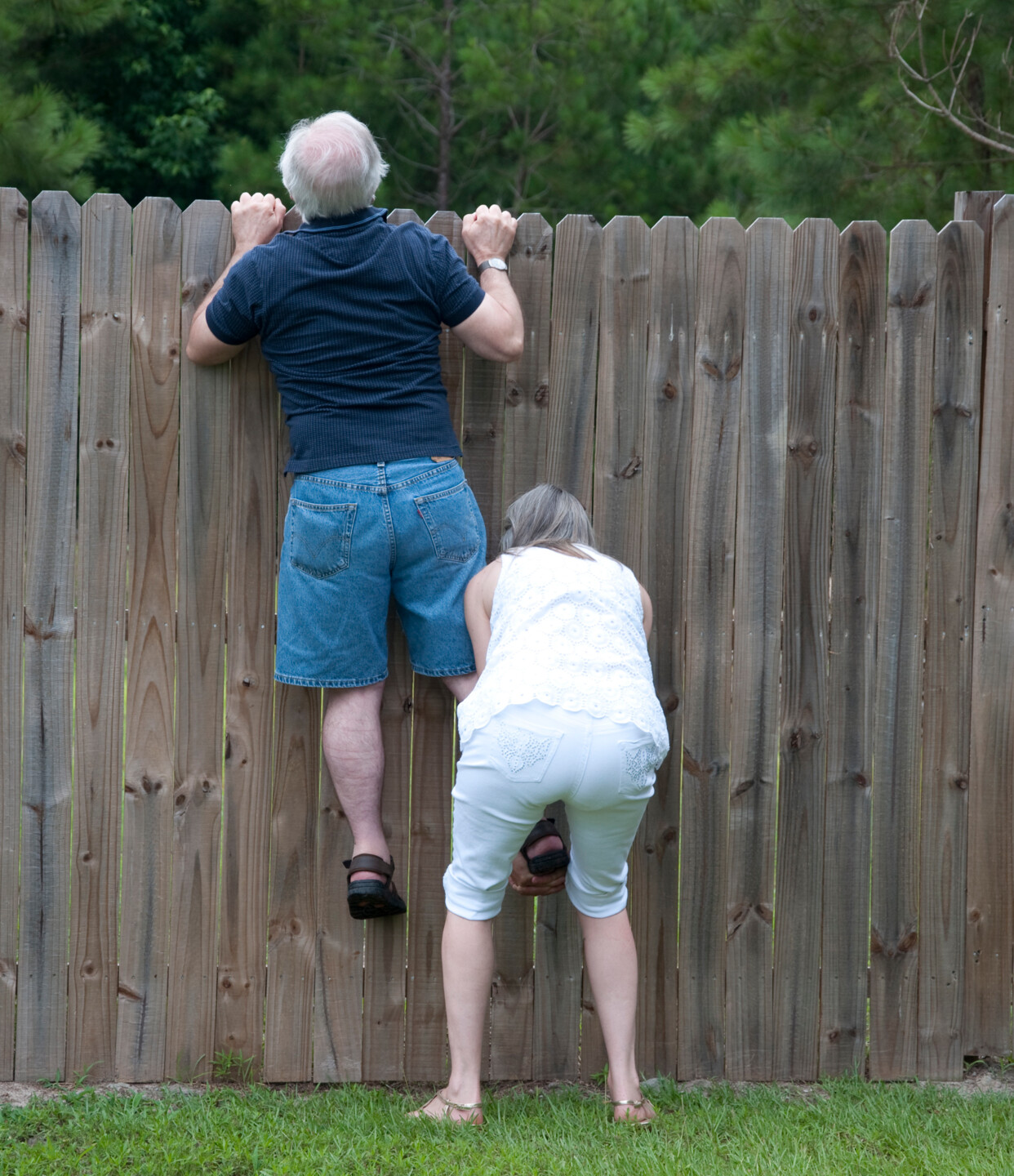 Schutz vor ungewollten Blicken - Sichtschutzzäune