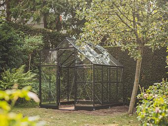 Gewächshaus bauen: Gewächshaus Qube von Juliana/Halls