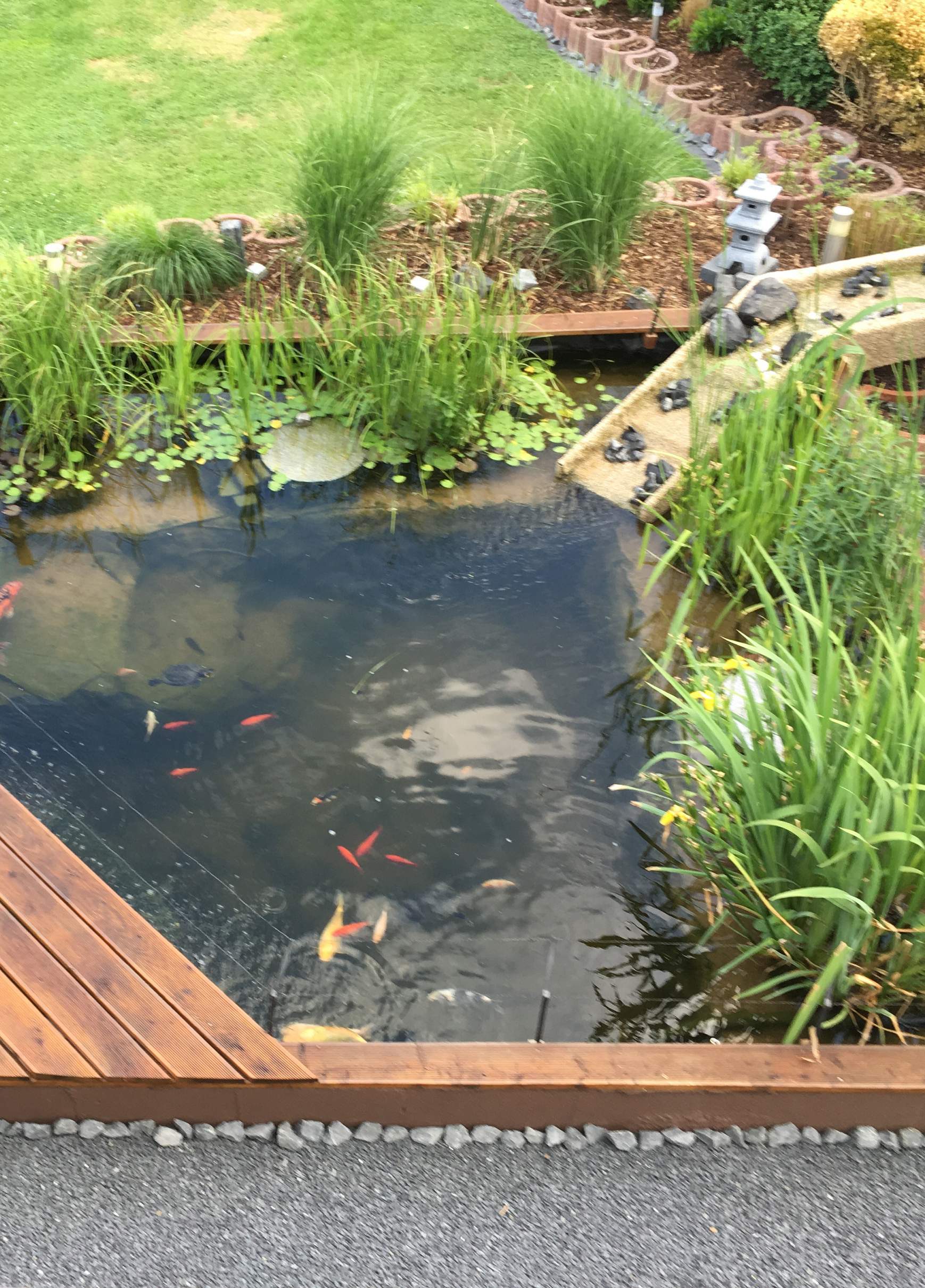 Schöner Teich am Hang 