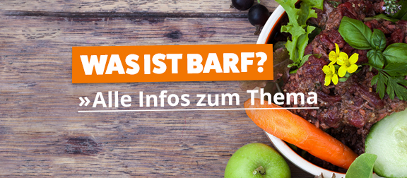  Infos zum Thema