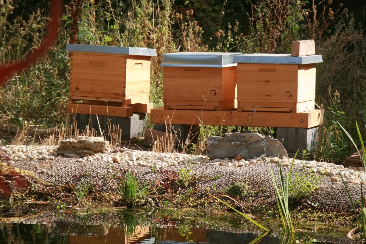 Bienenstöcke am Teichrand Bienenstöcke am Teichrand