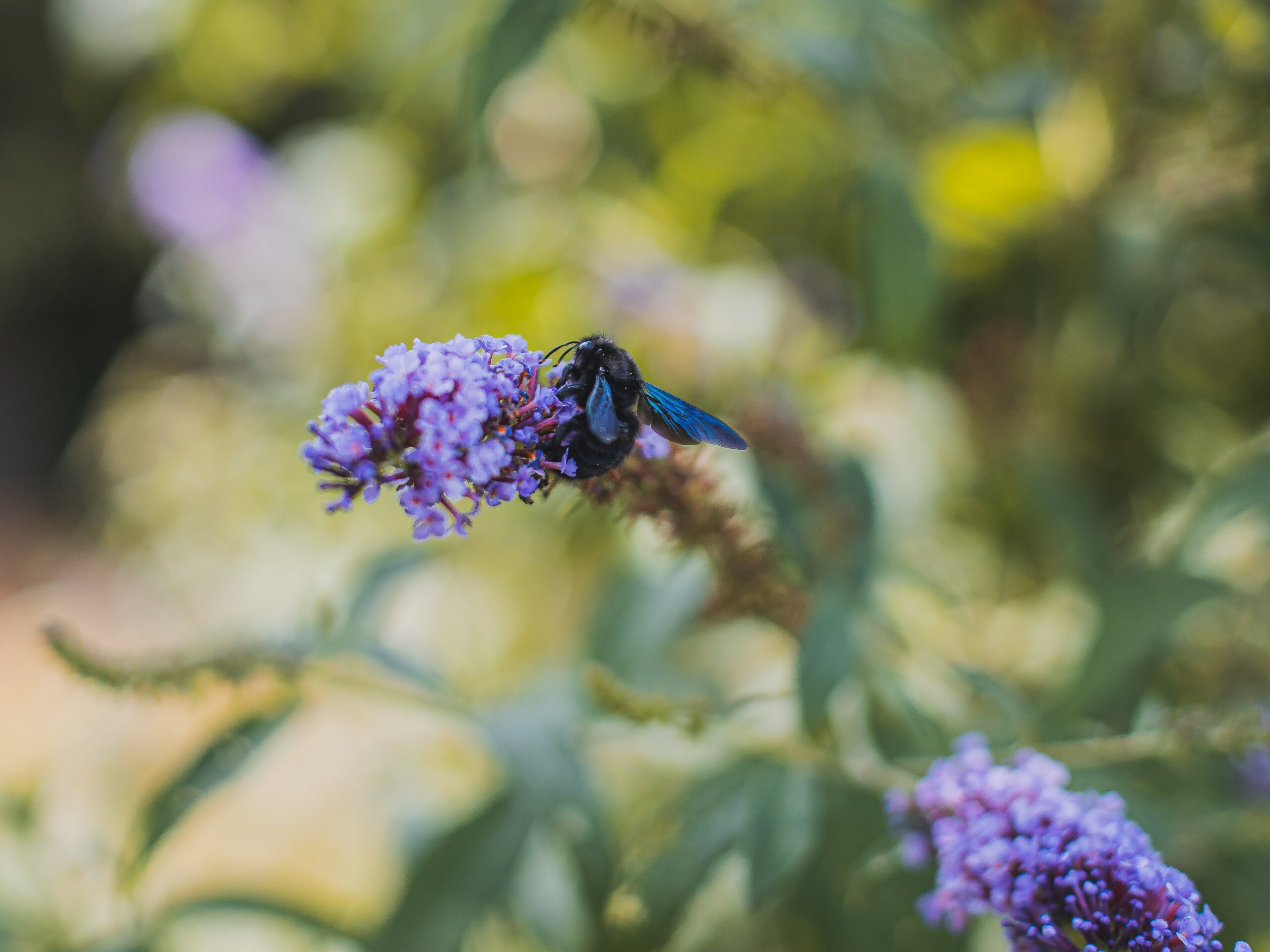 Produktfreisteller rechts