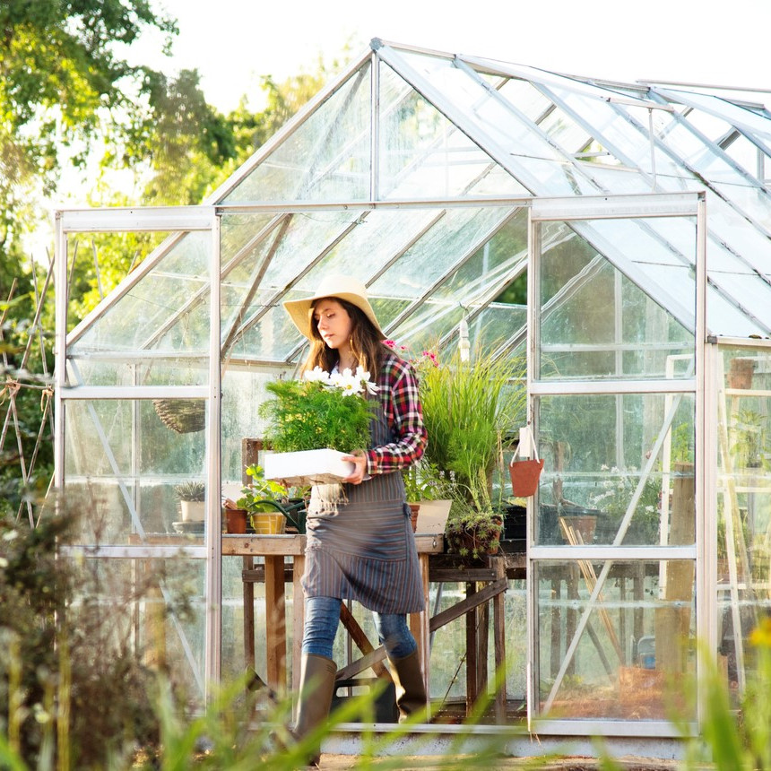 5 Tipps für das Gewächshaus im Frühling
