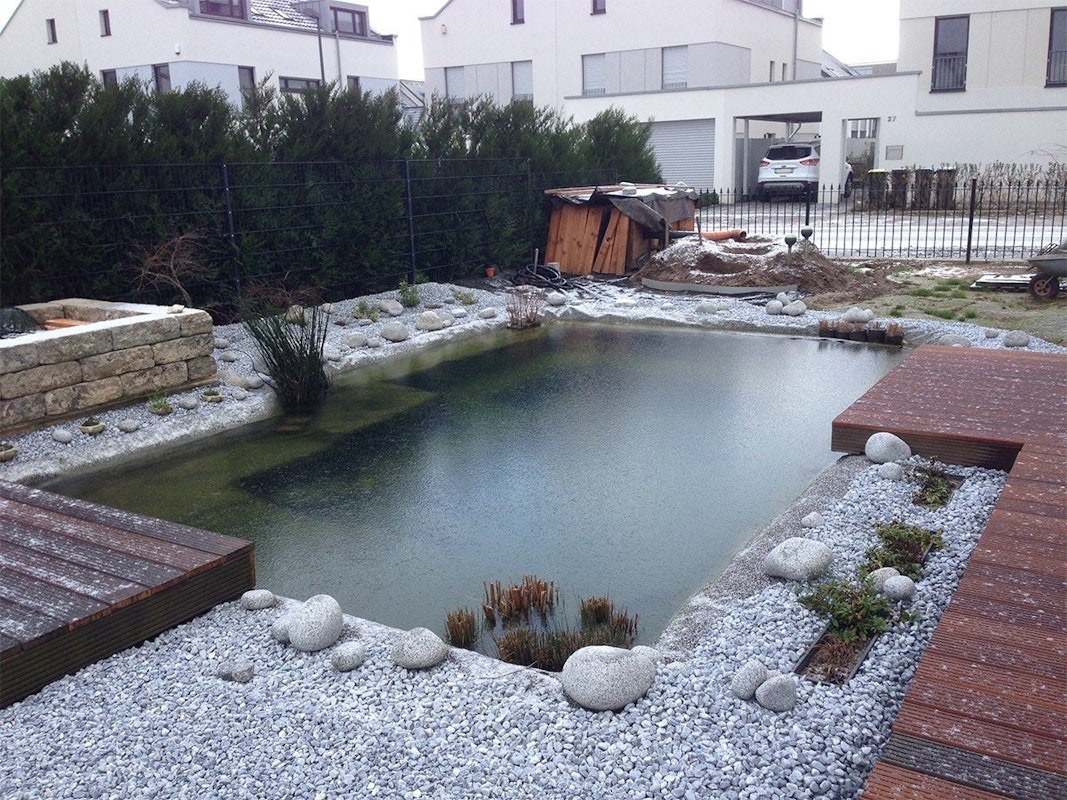 Teich im Winter