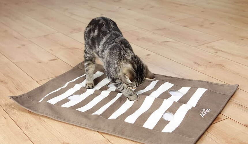 Intelligenzspielzeug Katze spielt mit einer Pföteldecke