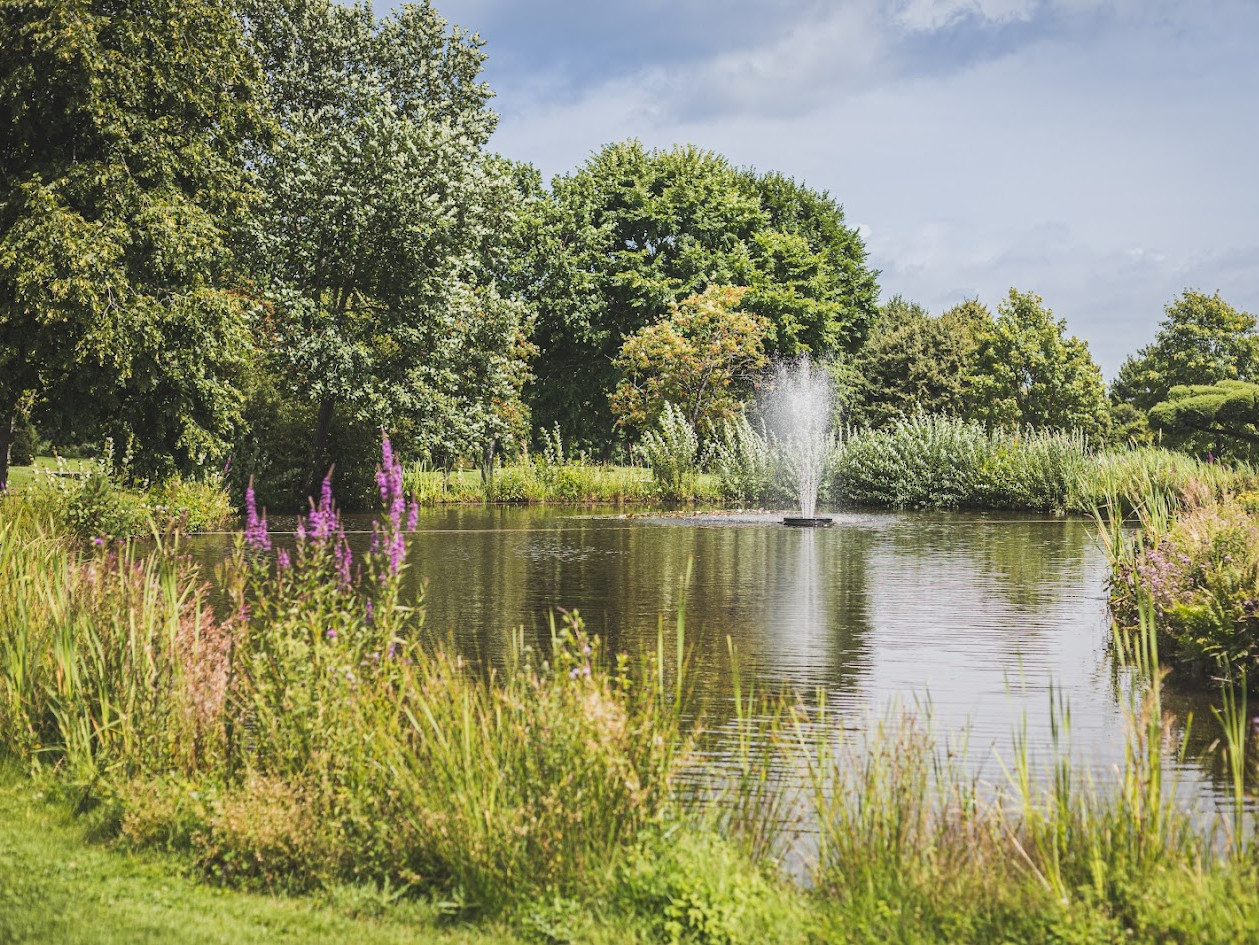Ein Wasserspiel wie ein Springbrunnen belebt den Teich