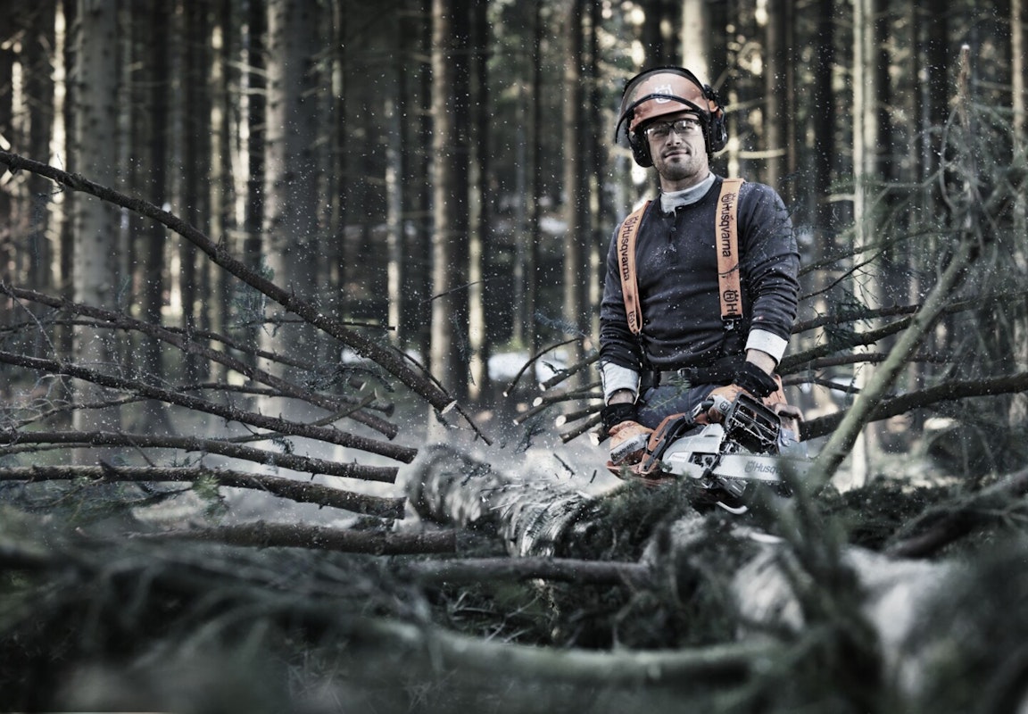 Mit der Kettensäge im Wald Kettensägen kommen sowohl im Wald als auch im heimischen Garten zum Einsatz