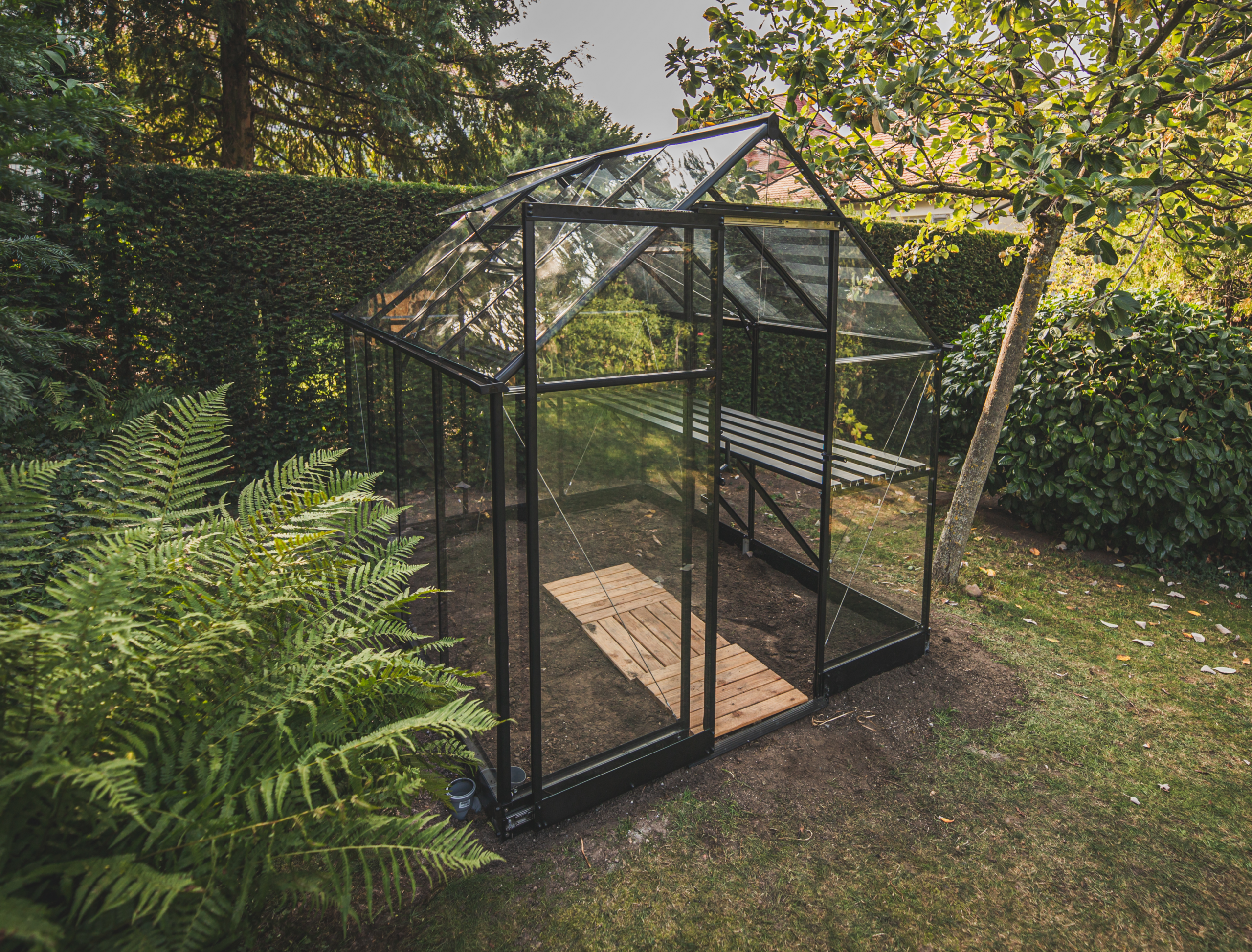 Gewächshaus Kaufberatung Content Bild