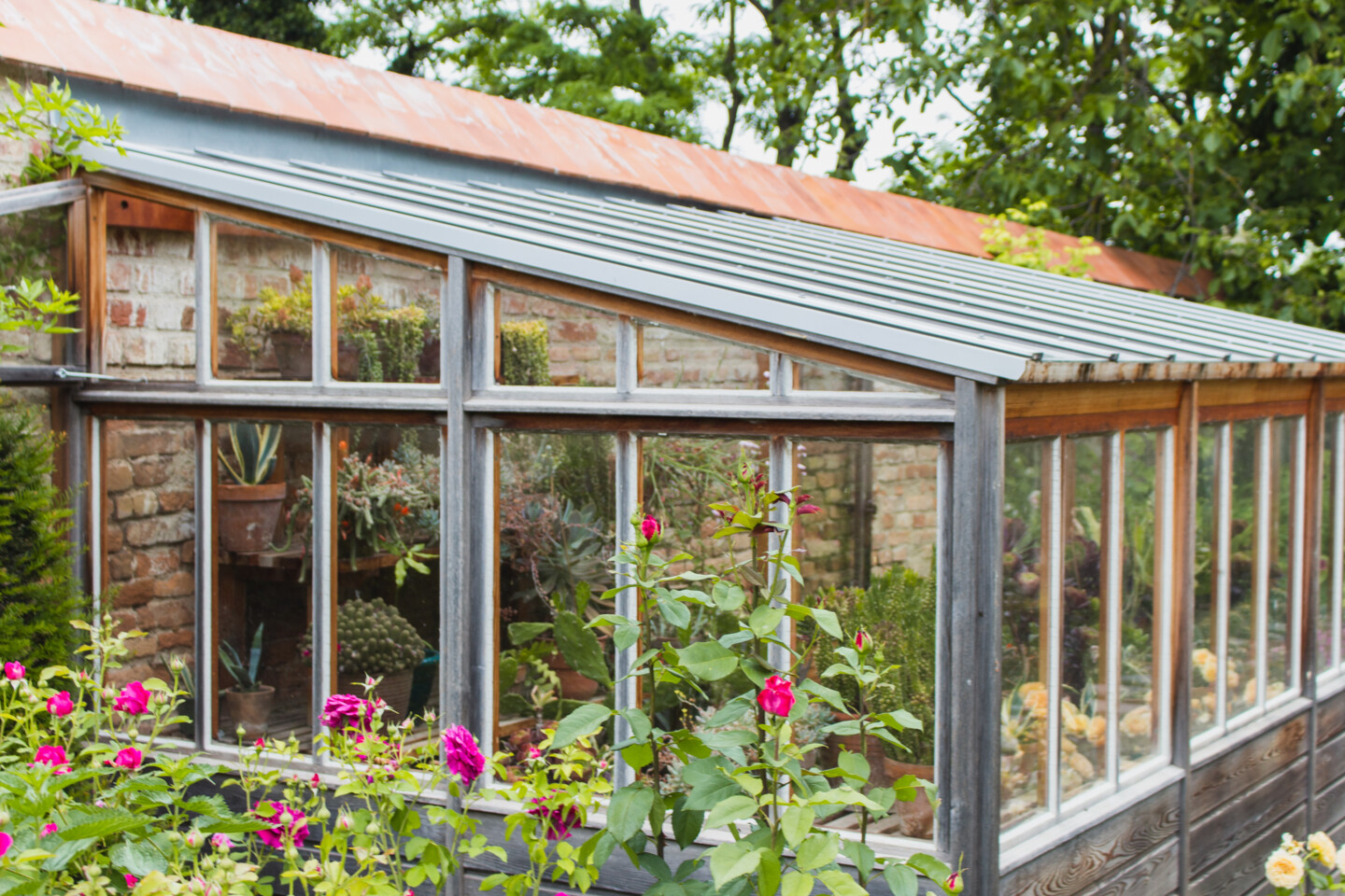 Holz ist das klassische Material für Gewächshäuser, besonders wenn man sie selber bauen will